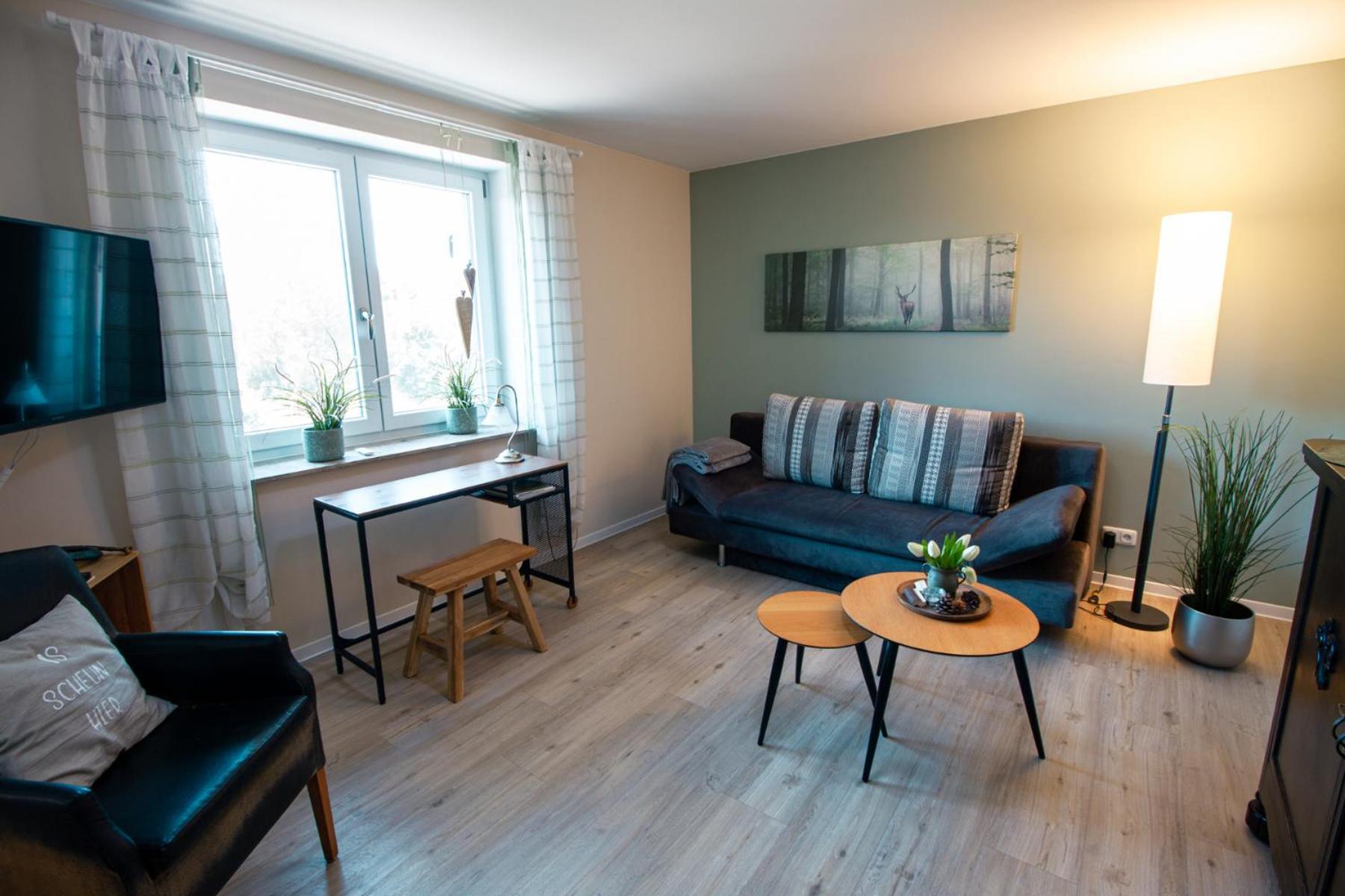 Apartment Meine Værelse billede